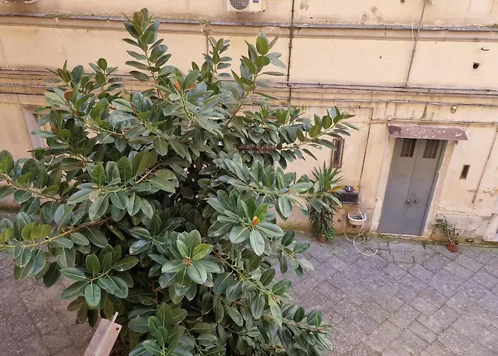 Napoli Station B&B
